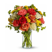 Rosas y FloresOFERTA, México, México